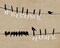 Birds on a Wire - Welcome Home Poster Print by Alain Pelletier - Item # VARPDX10033